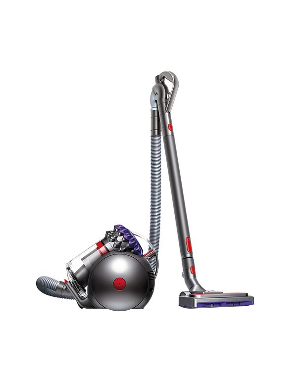 Dyson Big Ball™ Parquet 2